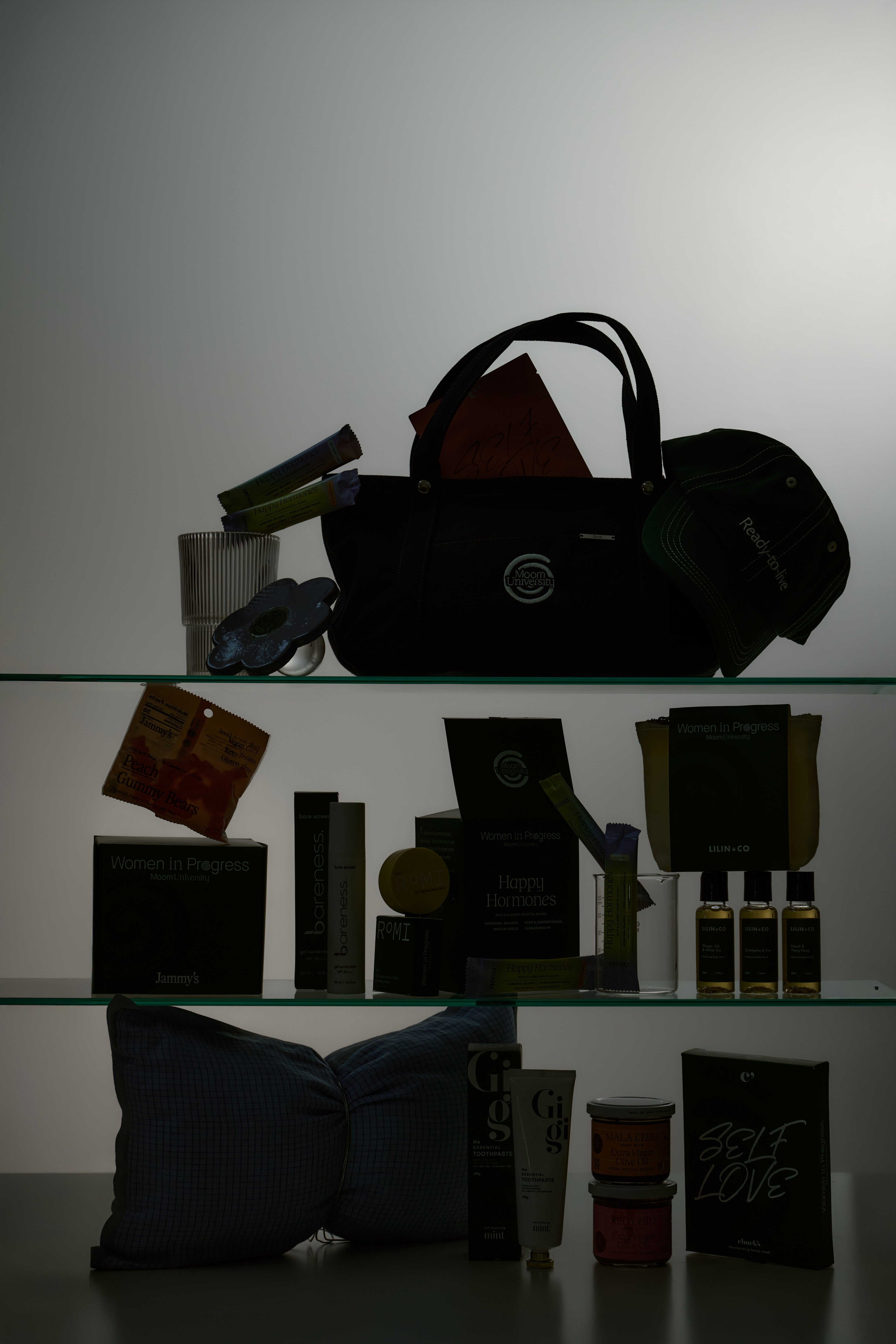 Moom University WIP Early Access Launch Event